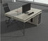Muebles simples adaptables del personal de oficina del estilo para el sitio de estudio en casa de la compañía proveedor
